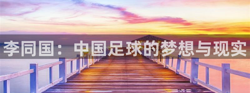 世界杯欧洲预选赛：李同国：中国足球的梦想与现实