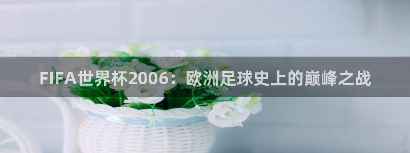 欧洲世预赛赛程表：FIFA世界杯2006：欧洲足球史上的巅峰之战
