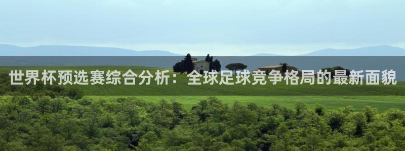 世界杯比赛：世界杯预选赛综合分析：全球足球竞争格局的最新面貌