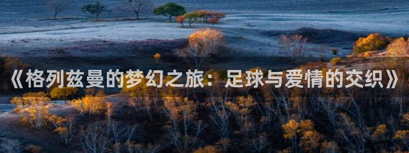 亚洲杯比赛直播：《格列兹曼的梦幻之旅：足球与爱情的交织》
