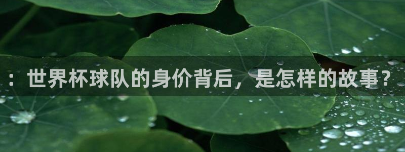 世界杯球赛：：世界杯球队的身价背后，是怎样的故事？