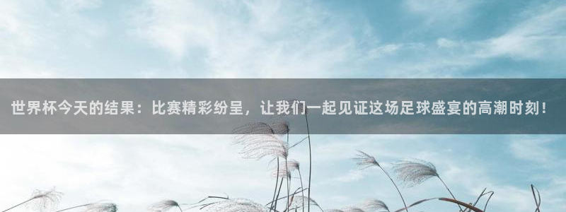 世界杯预选赛排名：世界杯今天的结果：比赛精彩纷呈，让我们一起见证这场足球盛宴的高潮时刻！