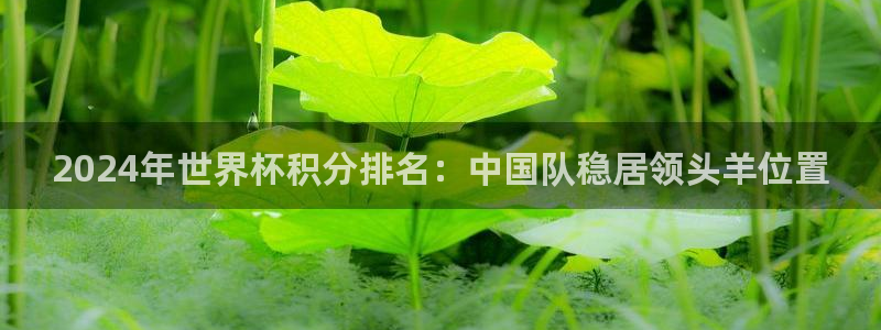 世界杯球赛：2024年世界杯积分排名：中国队稳居领头羊位置