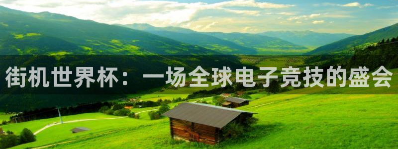 世界杯直播网站：街机世界杯：一场全球电子竞技的盛会