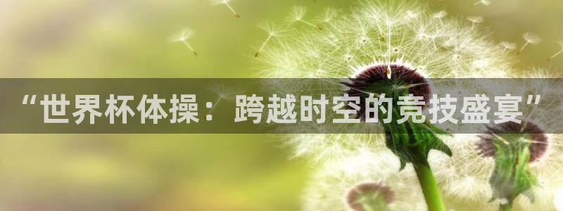 2026年世界杯赛程：“世界杯体操：跨越时空的竞技盛宴”