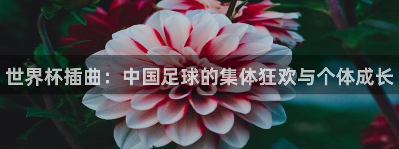 2026世界杯中国队：世界杯插曲：中国足球的集体狂欢与个体成长