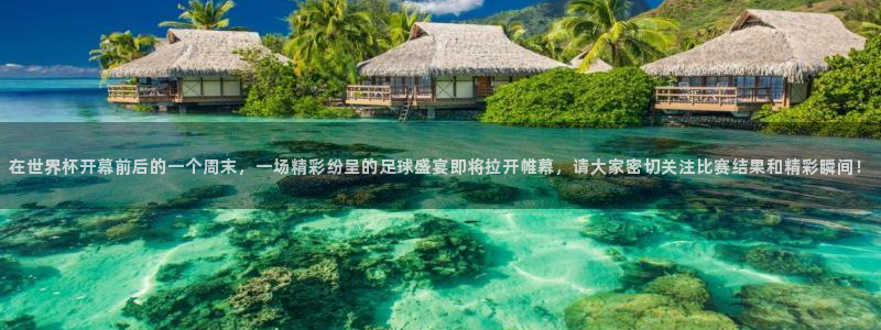 26世界杯：在世界杯开幕前后的一个周末，一场精彩纷呈的足球盛宴即将拉开帷幕，请大家密切关注比赛结果和精彩瞬间！