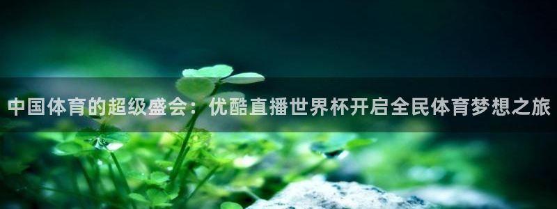 26世界杯：中国体育的超级盛会：优酷直播世界杯开启全民体育梦想之旅